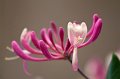 IMG_5813 e1